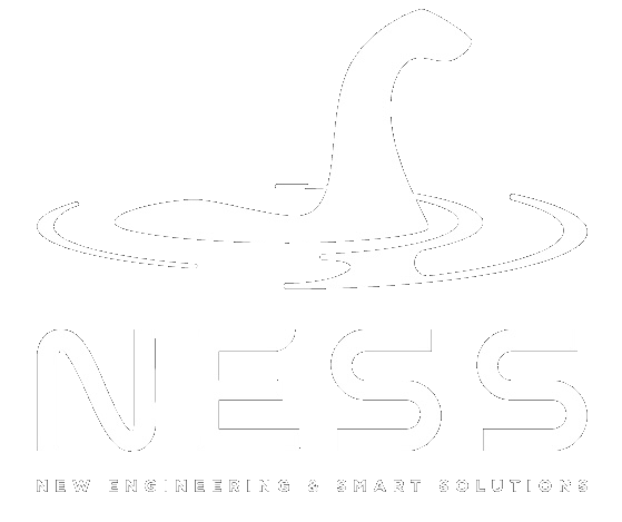 NESS